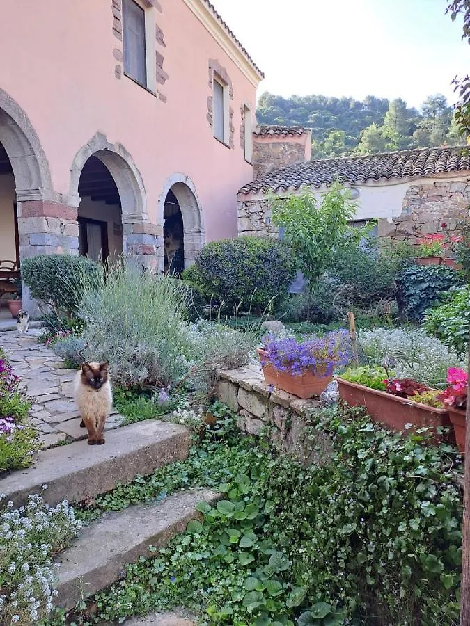 B&B S'Omu Antiga Nureci Italy
