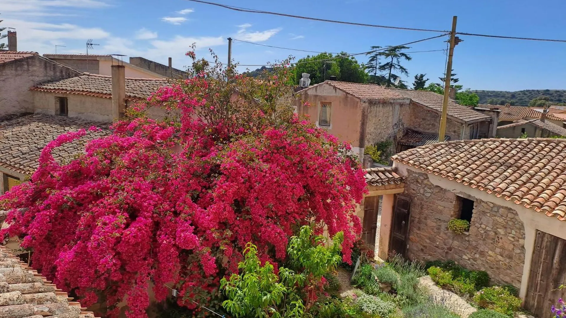 B&B S'Omu Antiga Nureci Bed & Breakfast