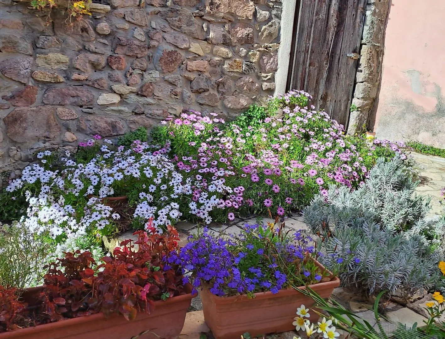 B&B S'Omu Antiga Nureci Bed & Breakfast